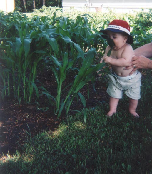 eatcorn.jpg